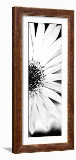 White Bloom I-Susan Bryant-Framed Photographic Print