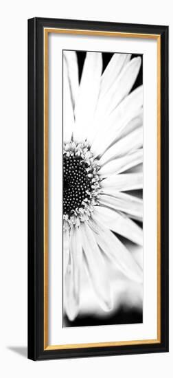 White Bloom I-Susan Bryant-Framed Photographic Print