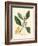 White Blossom and Ripe Fruit Segment of the Orange Tree, Citrus Aurantium-James Sowerby-Framed Giclee Print