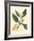 White Blossom and Ripe Fruit Segment of the Orange Tree, Citrus Aurantium-James Sowerby-Framed Giclee Print