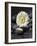 White Blossom on Black Stones-Uwe Merkel-Framed Photographic Print