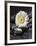 White Blossom on Black Stones-Uwe Merkel-Framed Photographic Print