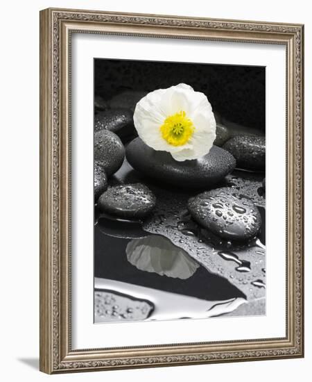 White Blossom on Black Stones-Uwe Merkel-Framed Photographic Print