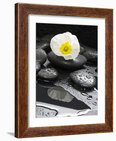 White Blossom on Black Stones-Uwe Merkel-Framed Photographic Print