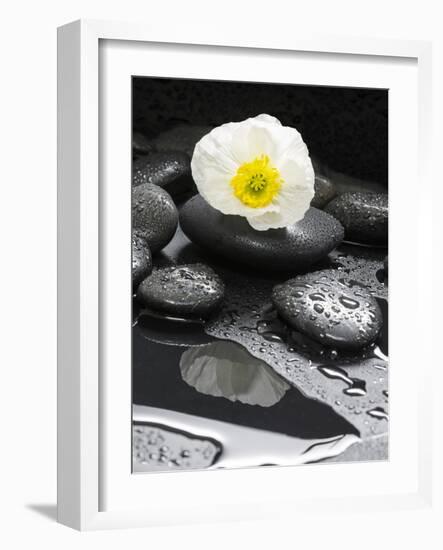 White Blossom on Black Stones-Uwe Merkel-Framed Photographic Print