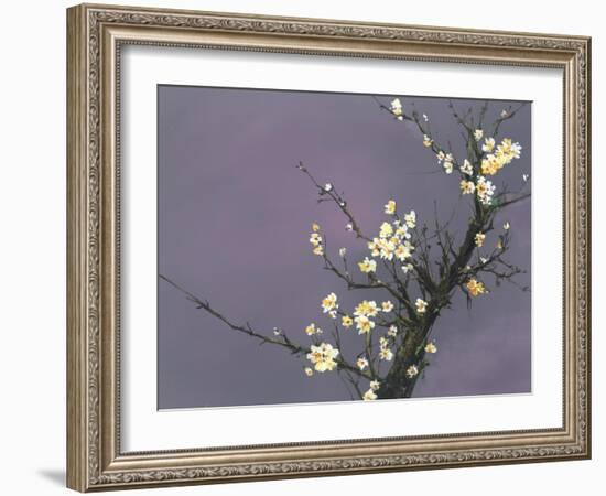 White Blossom-Thomas Leung-Framed Giclee Print