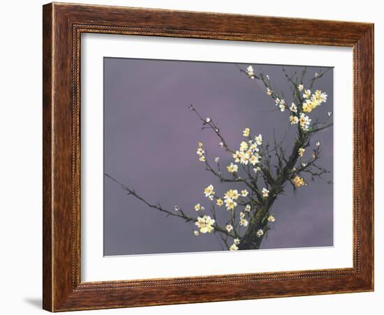 White Blossom-Thomas Leung-Framed Giclee Print