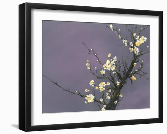 White Blossom-Thomas Leung-Framed Giclee Print