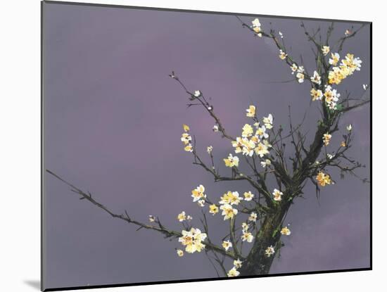 White Blossom-Thomas Leung-Mounted Giclee Print