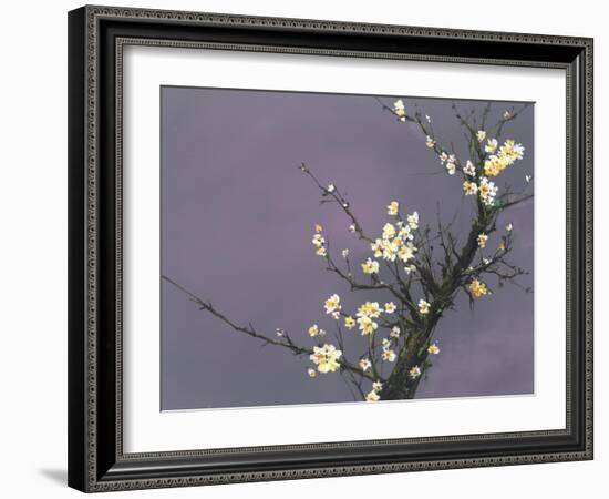 White Blossom-Thomas Leung-Framed Giclee Print