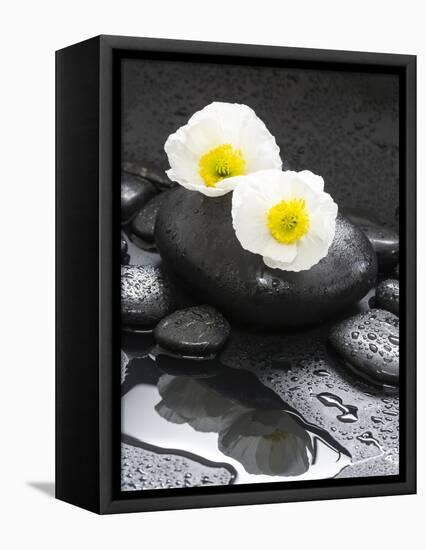 White Blossoms on Black Stones-Uwe Merkel-Framed Premier Image Canvas