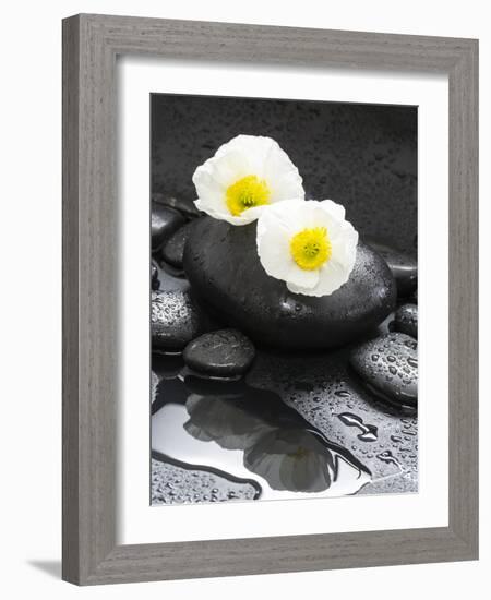 White Blossoms on Black Stones-Uwe Merkel-Framed Photographic Print