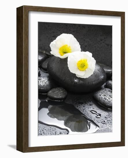 White Blossoms on Black Stones-Uwe Merkel-Framed Photographic Print