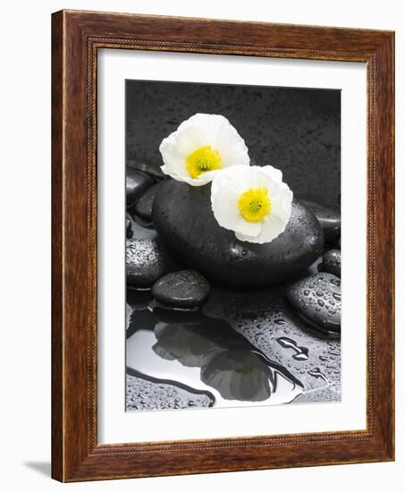 White Blossoms on Black Stones-Uwe Merkel-Framed Photographic Print