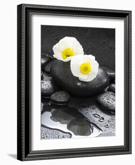 White Blossoms on Black Stones-Uwe Merkel-Framed Photographic Print