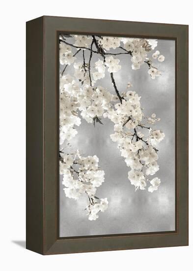 White Blossoms on Silver I-Kate Bennett-Framed Stretched Canvas