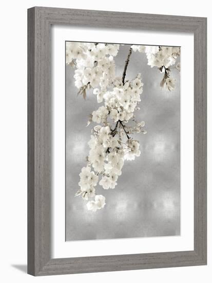 White Blossoms on Silver II-Kate Bennett-Framed Art Print