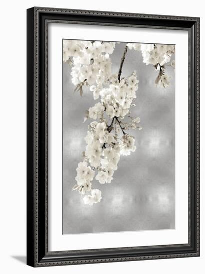 White Blossoms on Silver II-Kate Bennett-Framed Art Print