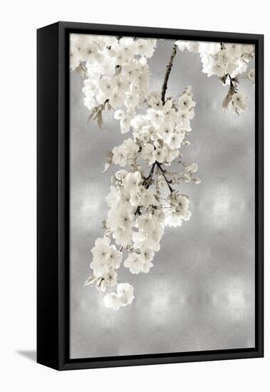 White Blossoms on Silver II-Kate Bennett-Framed Stretched Canvas