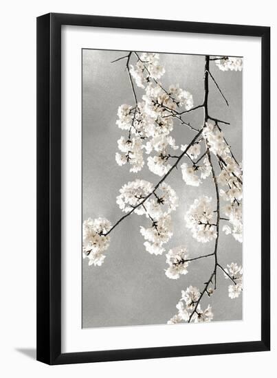 White Blossoms on Silver III-Kate Bennett-Framed Art Print