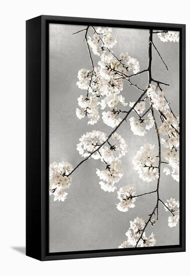 White Blossoms on Silver III-Kate Bennett-Framed Stretched Canvas