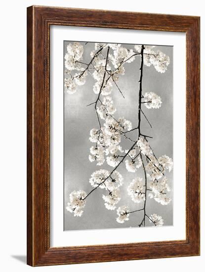 White Blossoms on Silver IV-Kate Bennett-Framed Art Print