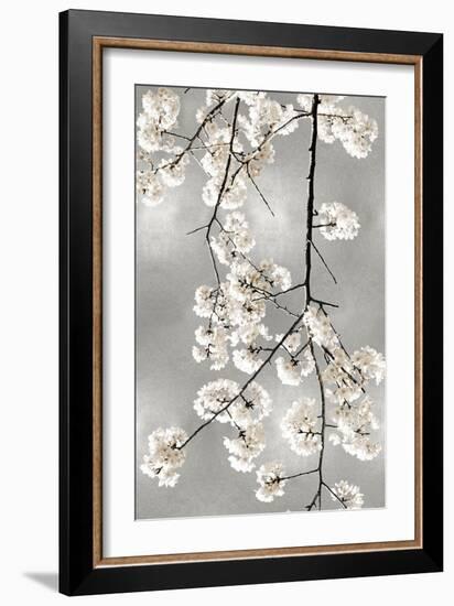 White Blossoms on Silver IV-Kate Bennett-Framed Art Print