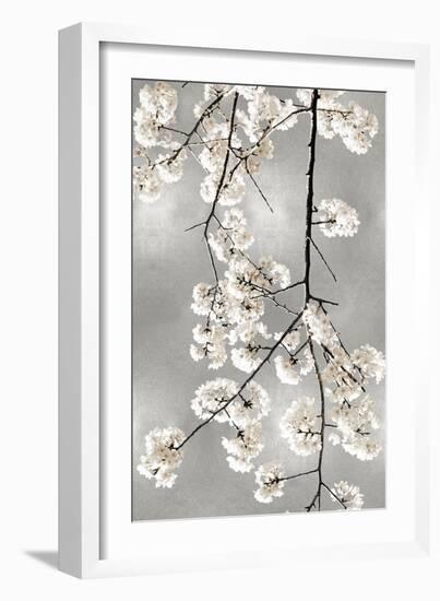 White Blossoms on Silver IV-Kate Bennett-Framed Art Print