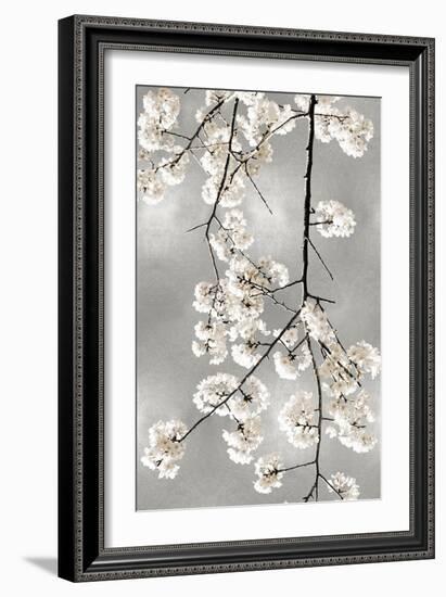 White Blossoms on Silver IV-Kate Bennett-Framed Art Print