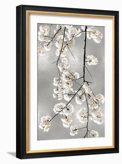 White Blossoms on Silver IV-Kate Bennett-Framed Art Print