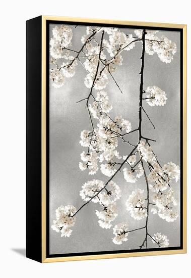 White Blossoms on Silver IV-Kate Bennett-Framed Stretched Canvas