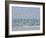 White Blur of Terns Taking Flight, Tierra Verde Key, Fort De Soto Park, Florida, USA-Arthur Morris-Framed Photographic Print