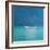 White Boat, Kilifi 2012-Lincoln Seligman-Framed Premium Giclee Print