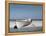 White Boat on Beach-Zhen-Huan Lu-Framed Premier Image Canvas