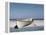 White Boat on Beach-Zhen-Huan Lu-Framed Premier Image Canvas