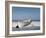 White Boat on Beach-Zhen-Huan Lu-Framed Premium Photographic Print