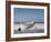 White Boat on Beach-Zhen-Huan Lu-Framed Premium Photographic Print