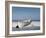 White Boat on Beach-Zhen-Huan Lu-Framed Photographic Print