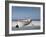 White Boat on Beach-Zhen-Huan Lu-Framed Photographic Print