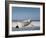 White Boat on Beach-Zhen-Huan Lu-Framed Photographic Print