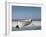 White Boat on Beach-Zhen-Huan Lu-Framed Photographic Print