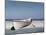 White Boat on Beach-Zhen-Huan Lu-Mounted Photographic Print