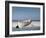 White Boat on Beach-Zhen-Huan Lu-Framed Photographic Print