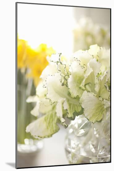 White Bouquet-Karyn Millet-Mounted Photographic Print