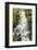 White Branch Falls, Oregon Cascades, Oregon-Adam Jones-Framed Photographic Print