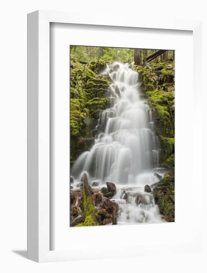 White Branch Falls, Oregon Cascades, Oregon-Adam Jones-Framed Photographic Print