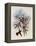 White-Breasted Amazili, Amazilia Leucoph?a-John Gould-Framed Premier Image Canvas