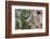 White-Breasted Nuthatch-Gary Carter-Framed Photographic Print