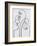 White Bryony-Karl Blossfeldt-Framed Art Print