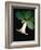 White bud with green leaves-Angela Drury-Framed Photographic Print